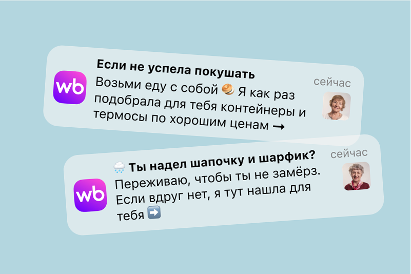 Доброе пуш-уведомление от бабушки в проекте Wildberries и БФ «Люди. Идеи»