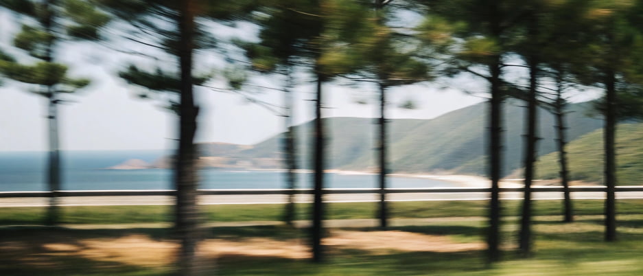 Компенсация углеродного следа на Сахалине